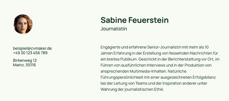 kurzprofil lebenslauf beispiel