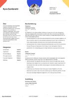 CV Template